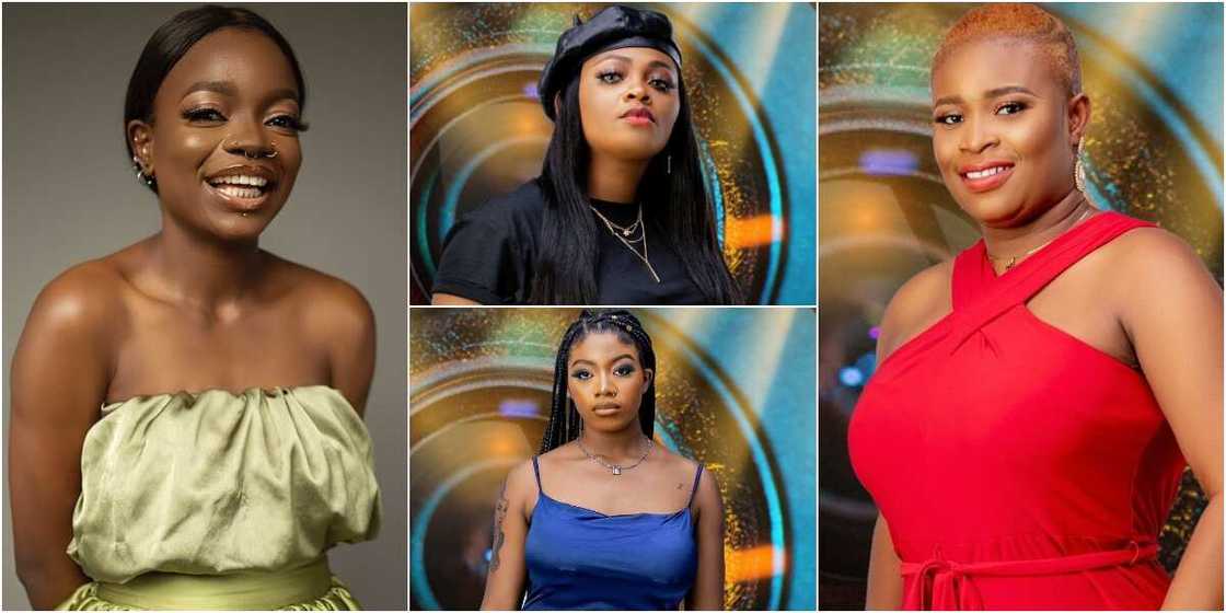 BBNaija female housemates