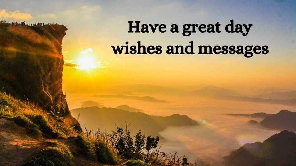 have a great day have a great day