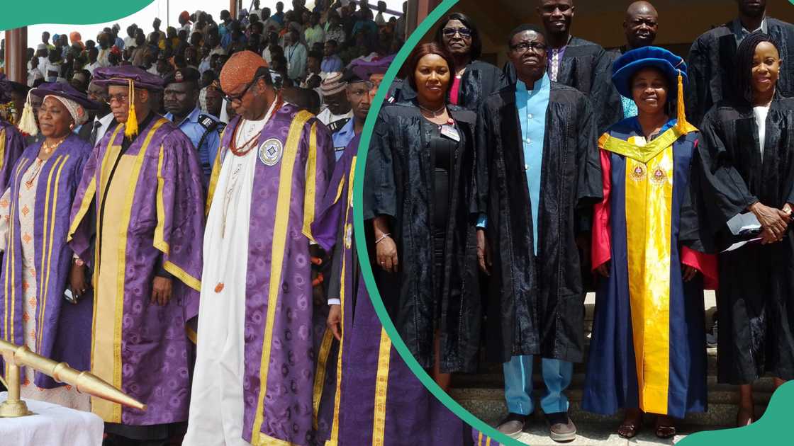 Members of academic staff at the Federal University of Technology Minna, and Ladoke Akintola University of Technology in academic dresses Members of academic staff at the Federal University of Technology Minna, and Ladoke Akintola University of Technology in academic dresses