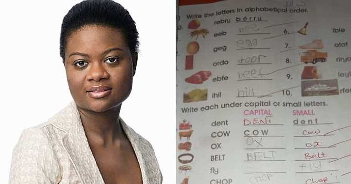 Mum confused after seeing teacher's corrections on her son's assignment book Mum confused after seeing teacher's corrections on her son's assignment book