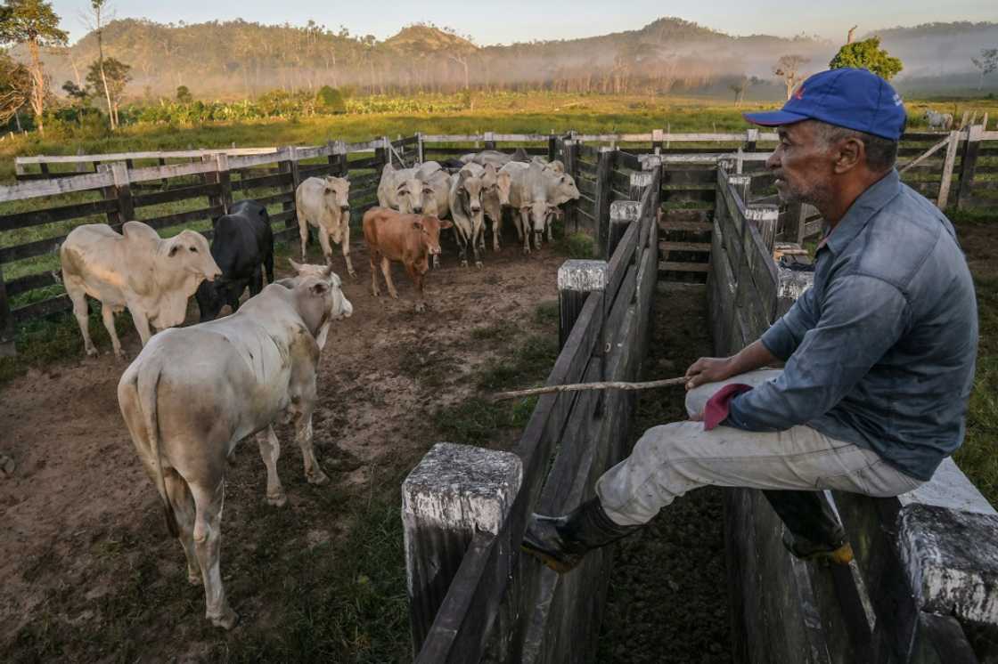 Small-scale farmer Jose Juliao do Nascimento recalls the out-of-control fires that threatened his property Small-scale farmer Jose Juliao do Nascimento recalls the out-of-control fires that threatened his property