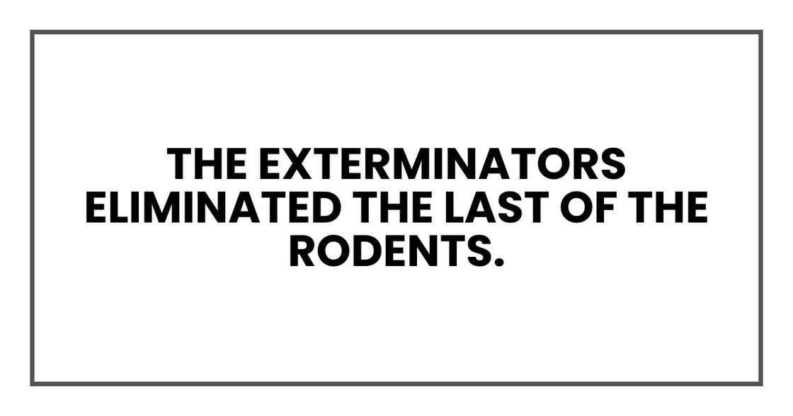The exterminators eliminated the last of the rodents. The exterminators eliminated the last of the rodents.