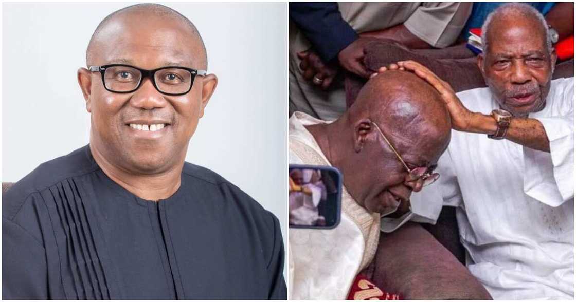 Afenifere, Gboyega Adejumo, Bola Tinubu, Ondo state, Akure, Peter Obi, Pa Reuben Fasoranti, Pa Ayo Adebanjo Afenifere, Gboyega Adejumo, Bola Tinubu, Ondo state, Akure, Peter Obi, Pa Reuben Fasoranti, Pa Ayo Adebanjo