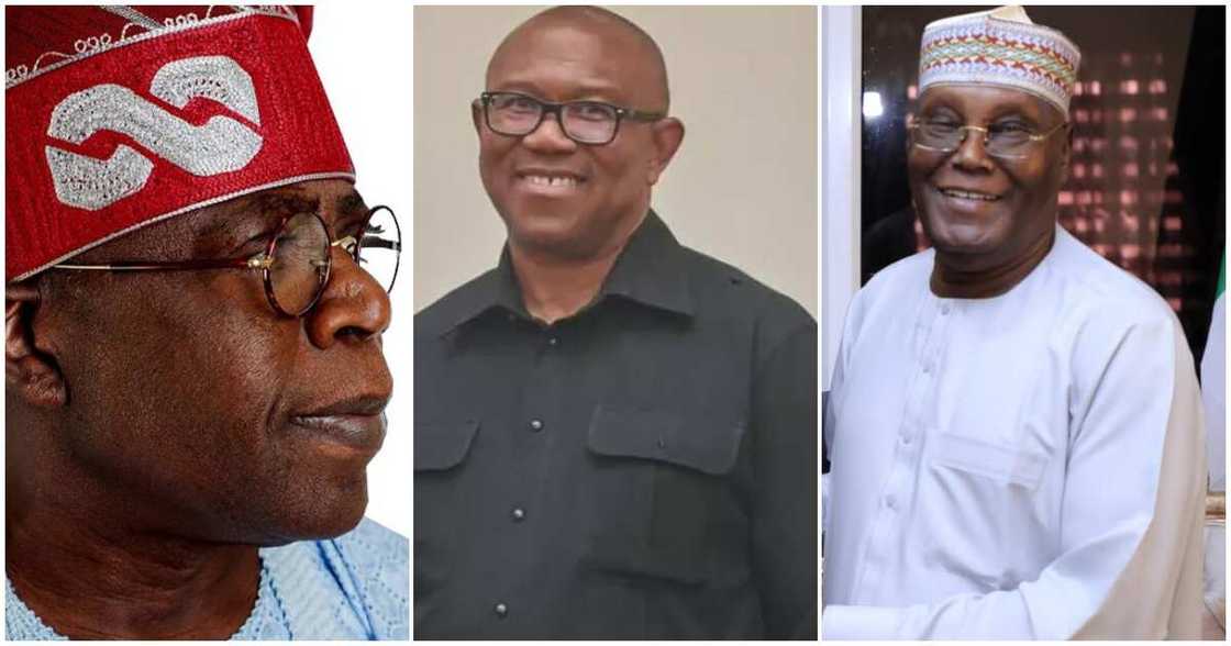 Tinubu news/Peter Obi news/Atiku news