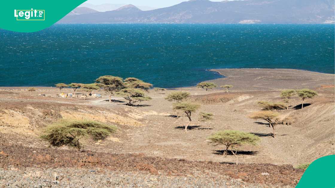 Turkana Rift preserves hominin fossils while undergoing geological breakup