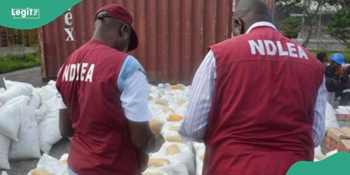 NDLEA arrests Thai woman with 46kg of illicit drugs at Lagos airport NDLEA arrests Thai woman with 46kg of illicit drugs at Lagos airport