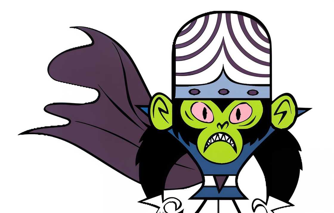 Mojo Jojo from The Powerpuff Girls Mojo Jojo from The Powerpuff Girls