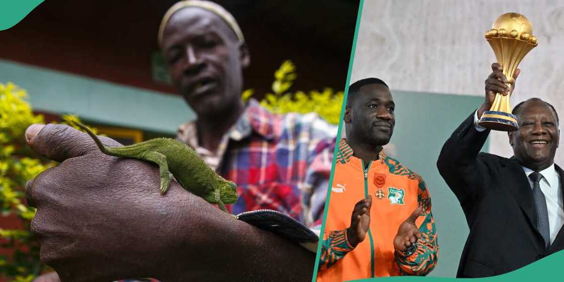 AFCON 2023/Ivory Coast/Nigeria/Senegal/Yahia Fofana/Super Eagles vs Cote d'Ivoire/AFCON Final AFCON 2023/Ivory Coast/Nigeria/Senegal/Yahia Fofana/Super Eagles vs Cote d'Ivoire/AFCON Final