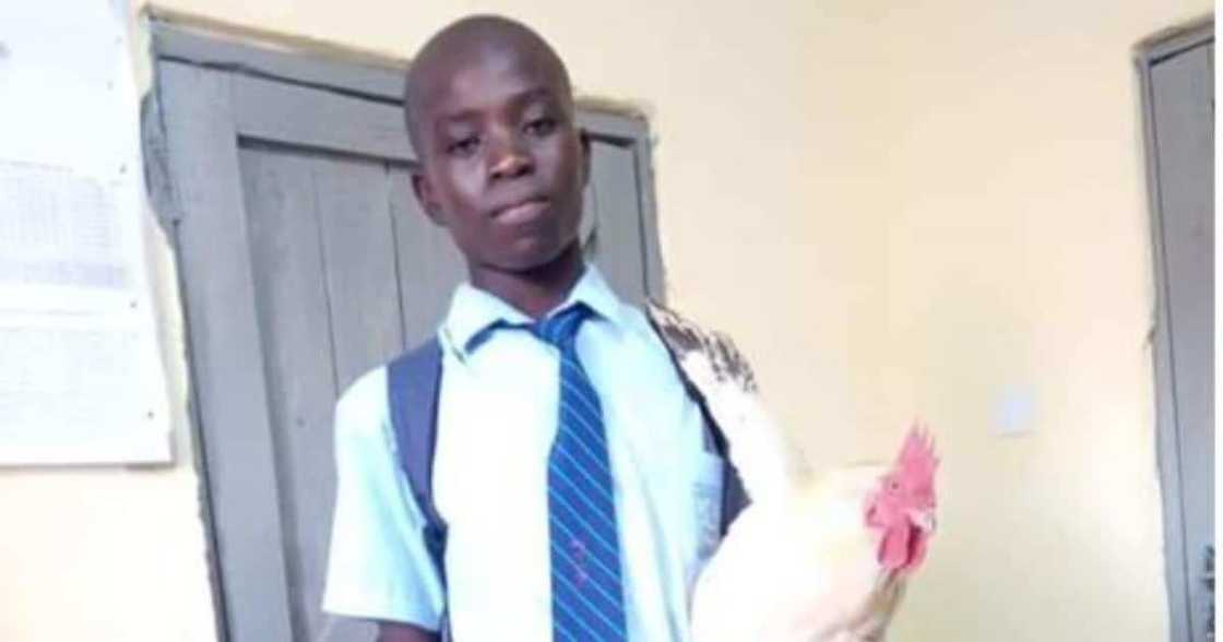 Boy who had taken mother's fowl to pay up N128k school debt bags scholarship Boy who had taken mother's fowl to pay up N128k school debt bags scholarship