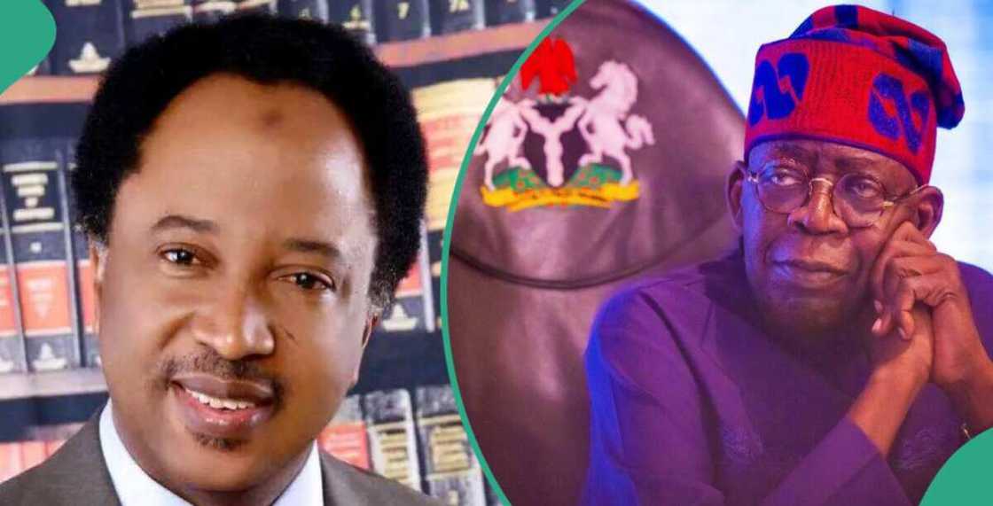 Shehu Sani Shehu Sani