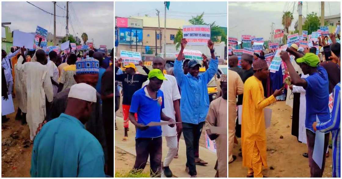 Kano/Kano state/kano state news today Kano/Kano state/kano state news today