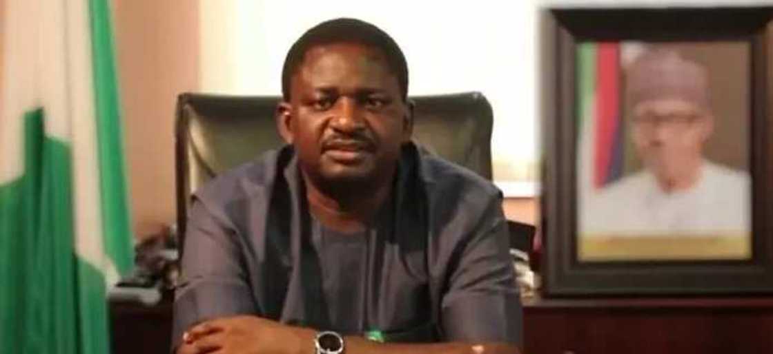 Femi Adesina says there is nothing wrong with Nigeria taking more loans