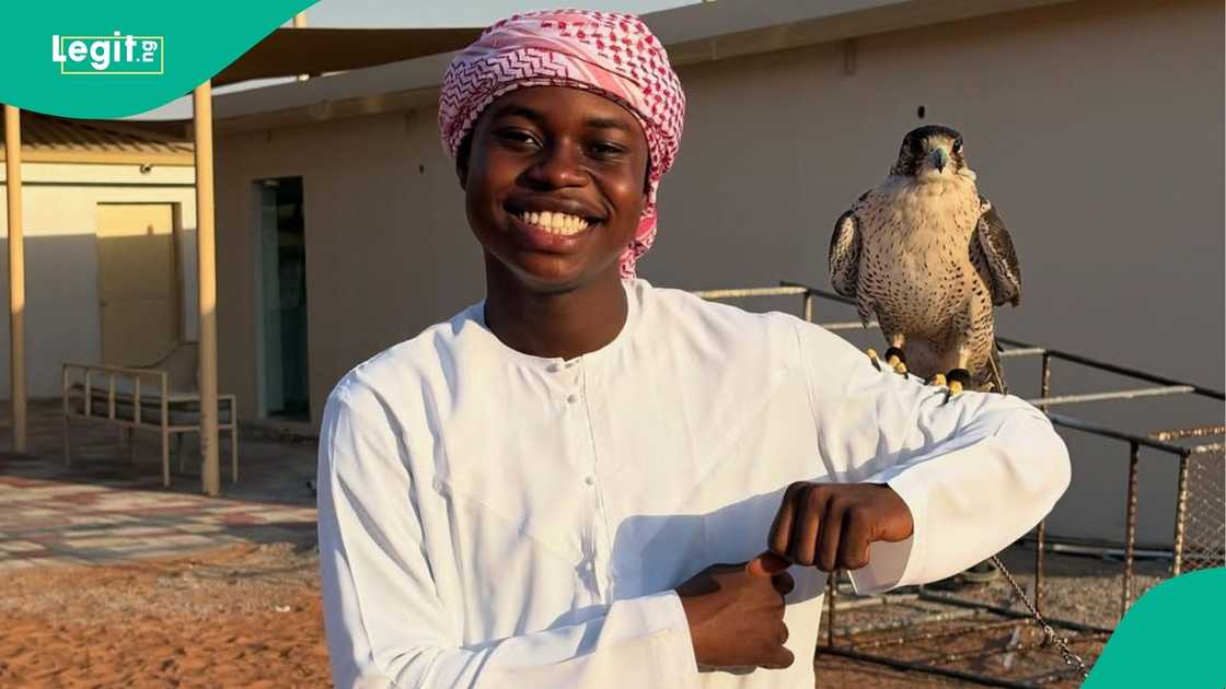 peller mother car crash house money properties peller mother car crash house money properties