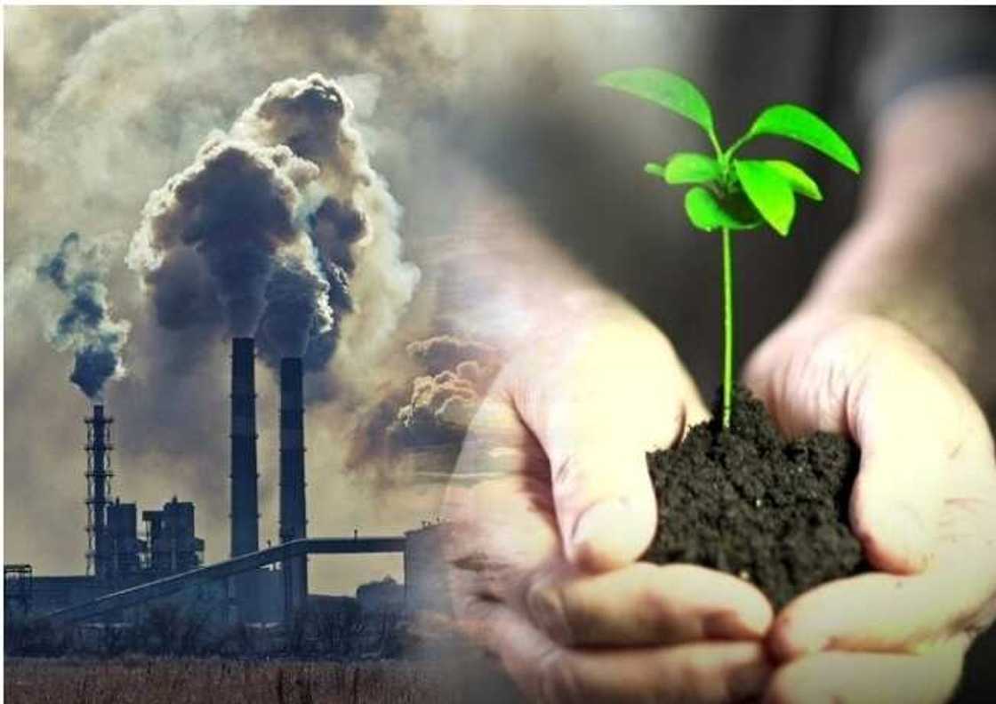 The Ecosystem Metaphor And Life Cycle in Industrial Ecology Explained by Dr Yasam Ayavefe The Ecosystem Metaphor And Life Cycle in Industrial Ecology Explained by Dr Yasam Ayavefe