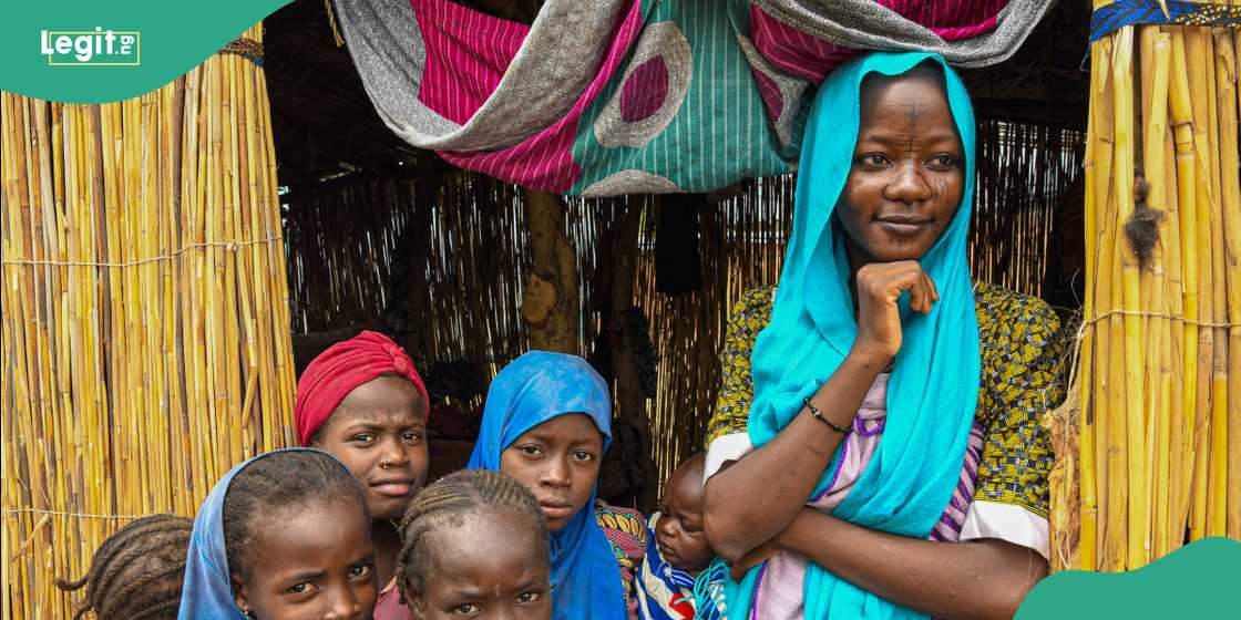 Boko Haram. Abubakar Shekau. Borno. Nigeria