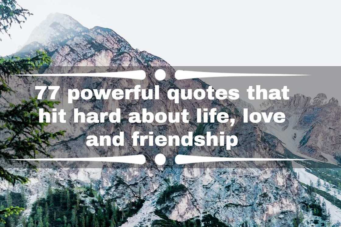 quotes that hit hard