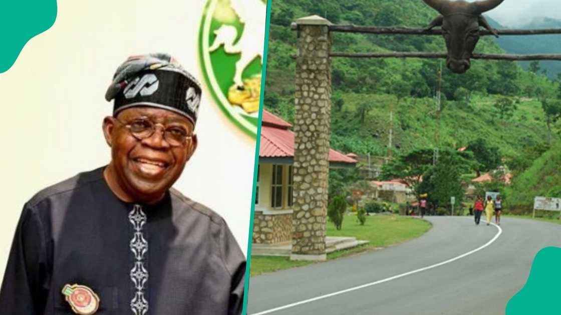 FG set to turn Obudu Cattle Ranch into Livestock and Dairy Hub FG set to turn Obudu Cattle Ranch into Livestock and Dairy Hub