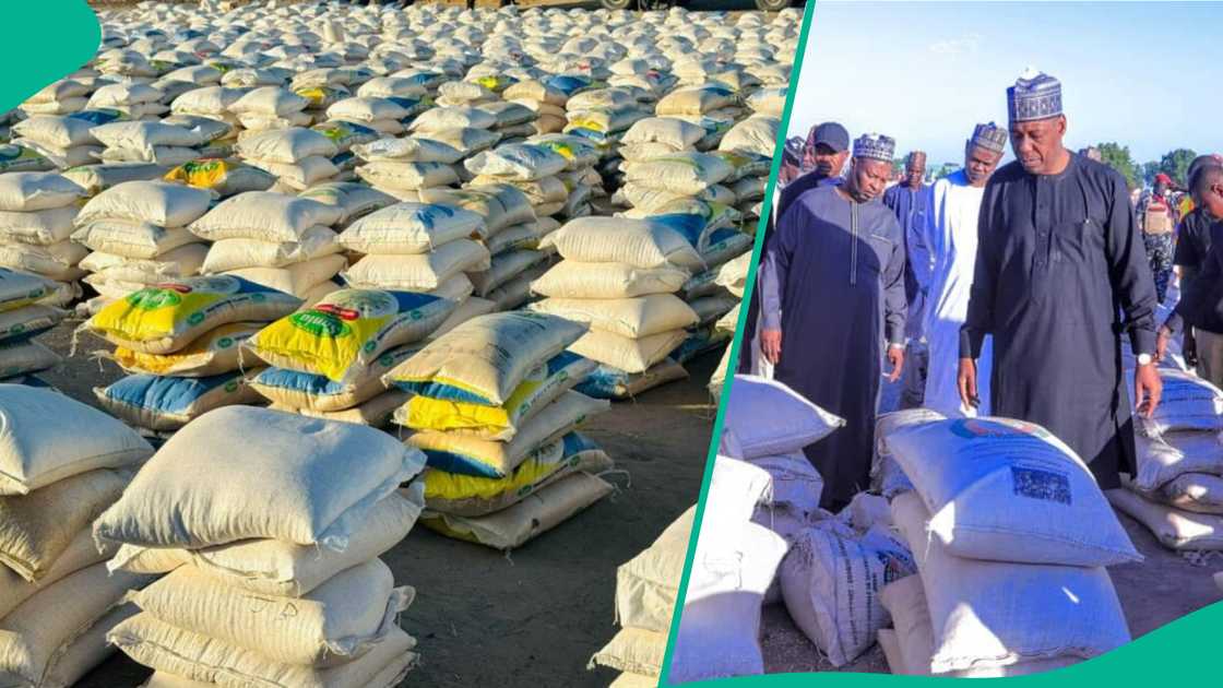 Food items shared by Zulum in Borno for Ramadan Food items shared by Zulum in Borno for Ramadan