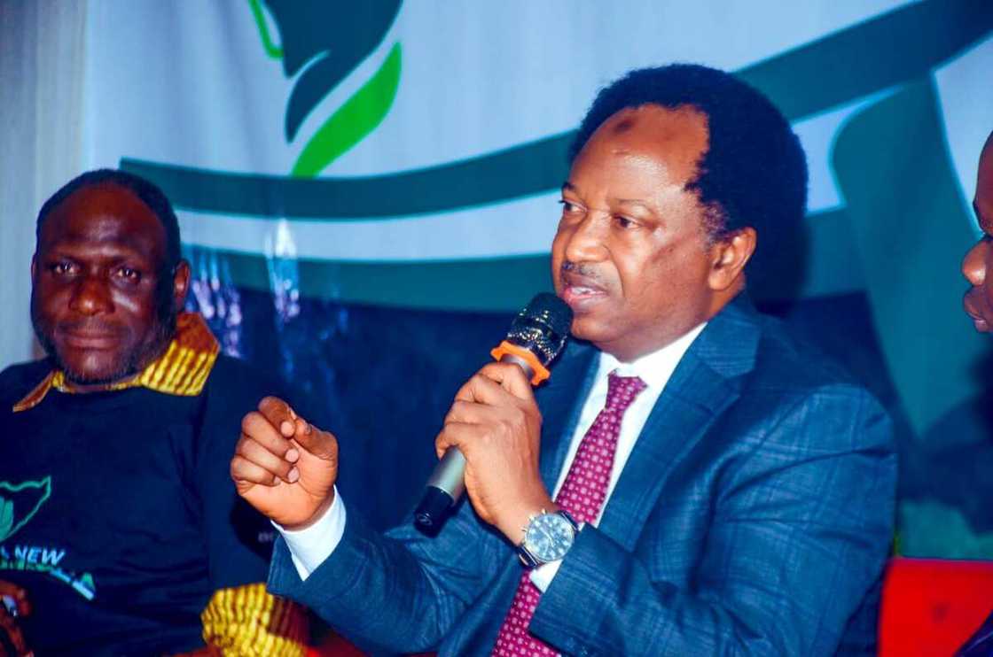 Senator Shehu Sani Senator Shehu Sani