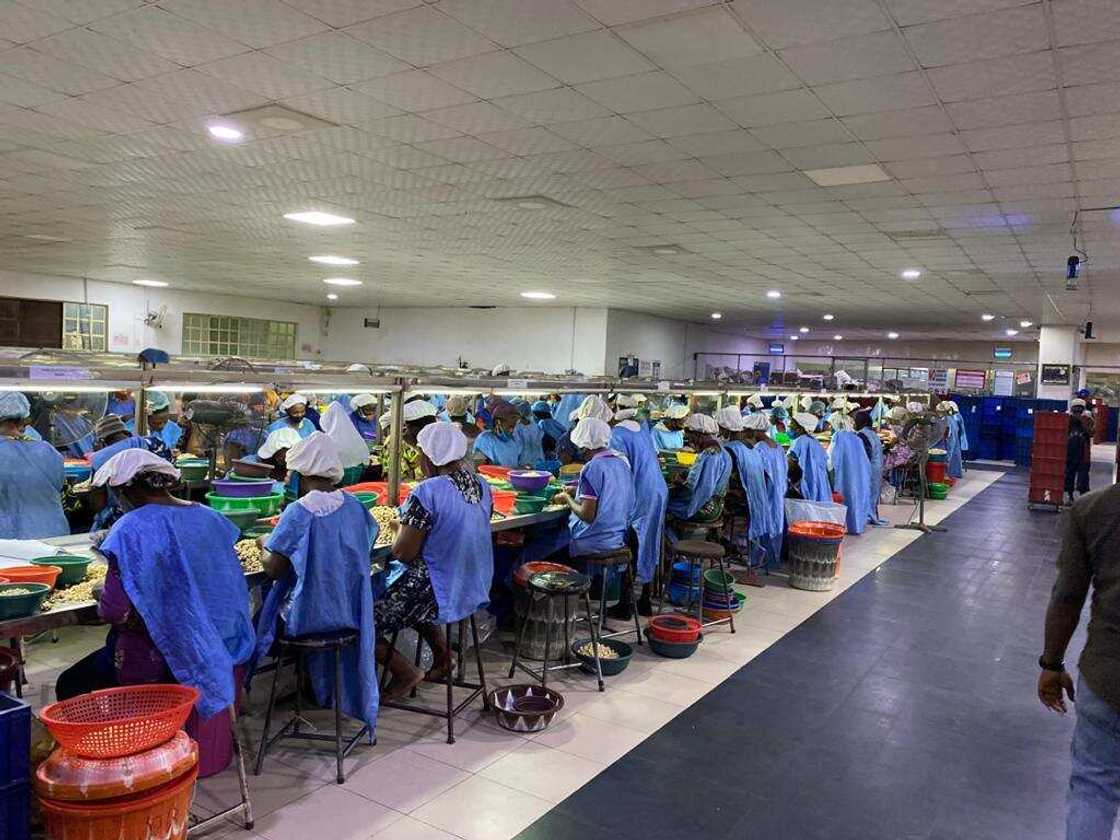 OIKOCREDIT Invest USD$3.5m in Valency Agro Nig. Ltd. to Expand Cashew Processing and Export OIKOCREDIT Invest USD$3.5m in Valency Agro Nig. Ltd. to Expand Cashew Processing and Export