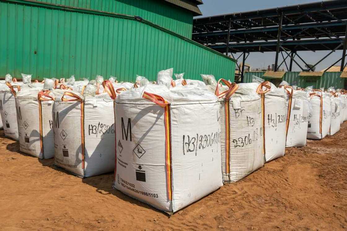 Cobalt hydroxide stored in 500-kilo (1,100-pound) sacks Cobalt hydroxide stored in 500-kilo (1,100-pound) sacks