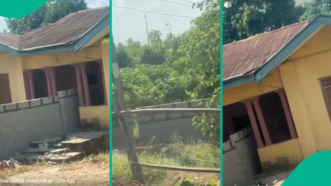 Video shows house divided into two by siblings.