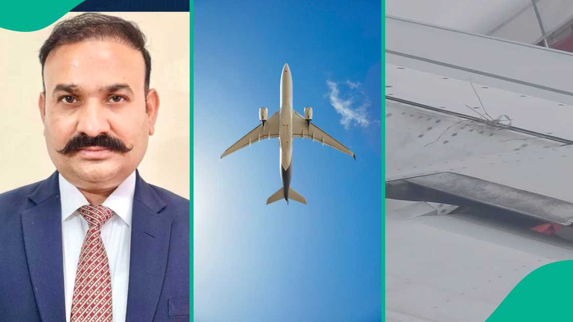 Air India passenger captures video of bird nest on Airplane. Air India passenger captures video of bird nest on Airplane.