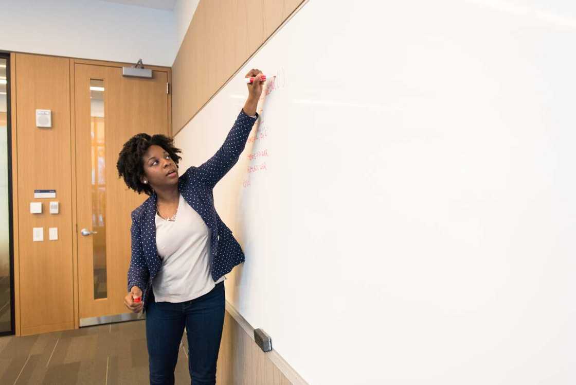 civic education civic education