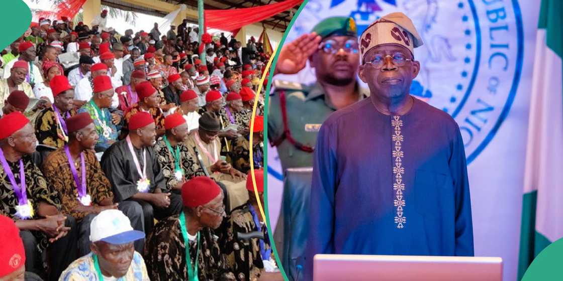 Ohanaeze rejects Tinubu committee Ohanaeze rejects Tinubu committee