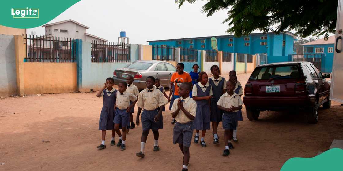 Tinubu's govt upgrades basic education curriculum with 15 new trades Tinubu's govt upgrades basic education curriculum with 15 new trades