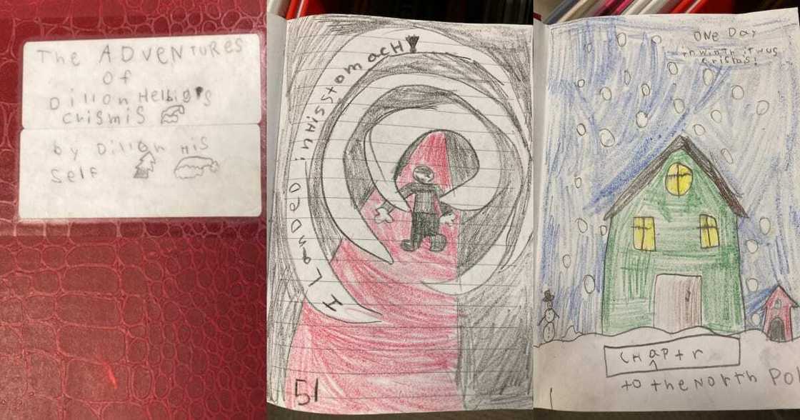 Dillon snuck his self made book into library. Dillon snuck his self made book into library.