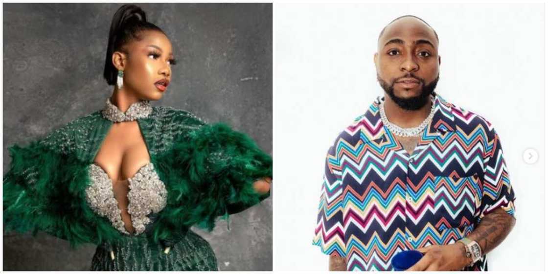 Photos of Tacha and Davido.