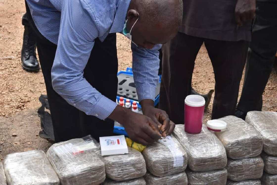 Hotunan tsohon soja mai shekaru 60 da wani da aka kama da wiwi na N7.5m a Kaduna Hotunan tsohon soja mai shekaru 60 da wani da aka kama da wiwi na N7.5m a Kaduna