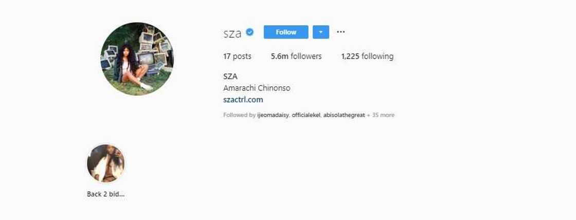 American singer SZA gets name changed to Amarachi Chinonso on Instagram (screenshot) American singer SZA gets name changed to Amarachi Chinonso on Instagram (screenshot)