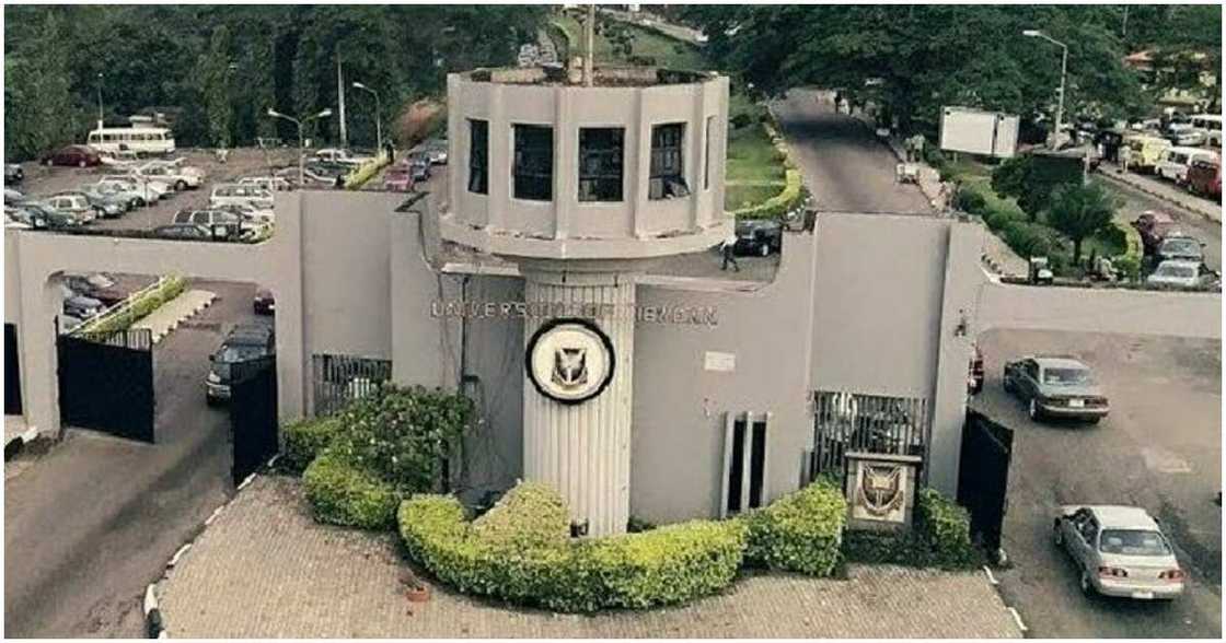 University of Ibadan/Parents/Acceptance fee/Increment University of Ibadan/Parents/Acceptance fee/Increment
