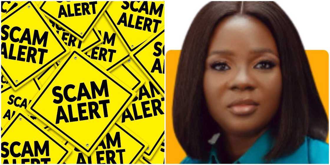 TGIC Founder Reveals How Banks can Protect Nigerians from Ponzi Scheme TGIC Founder Reveals How Banks can Protect Nigerians from Ponzi Scheme