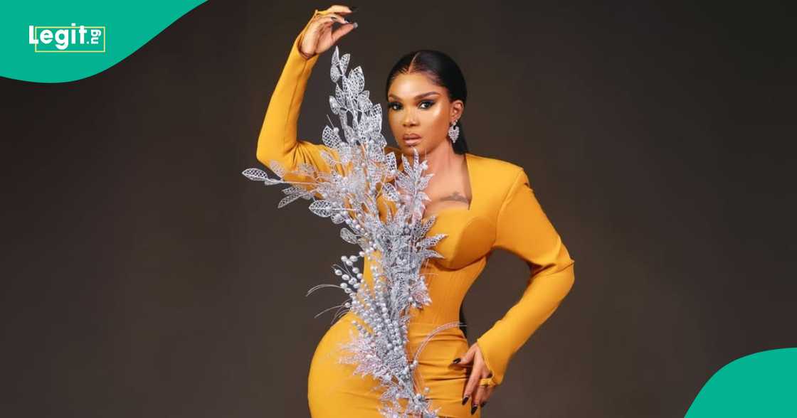 VDM reacts to Iyabo Ojo's petition against the Nigerian police. VDM reacts to Iyabo Ojo's petition against the Nigerian police.