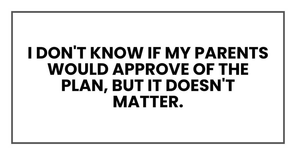 I don't know if my parents would approve of the plan, but it doesn't matter.