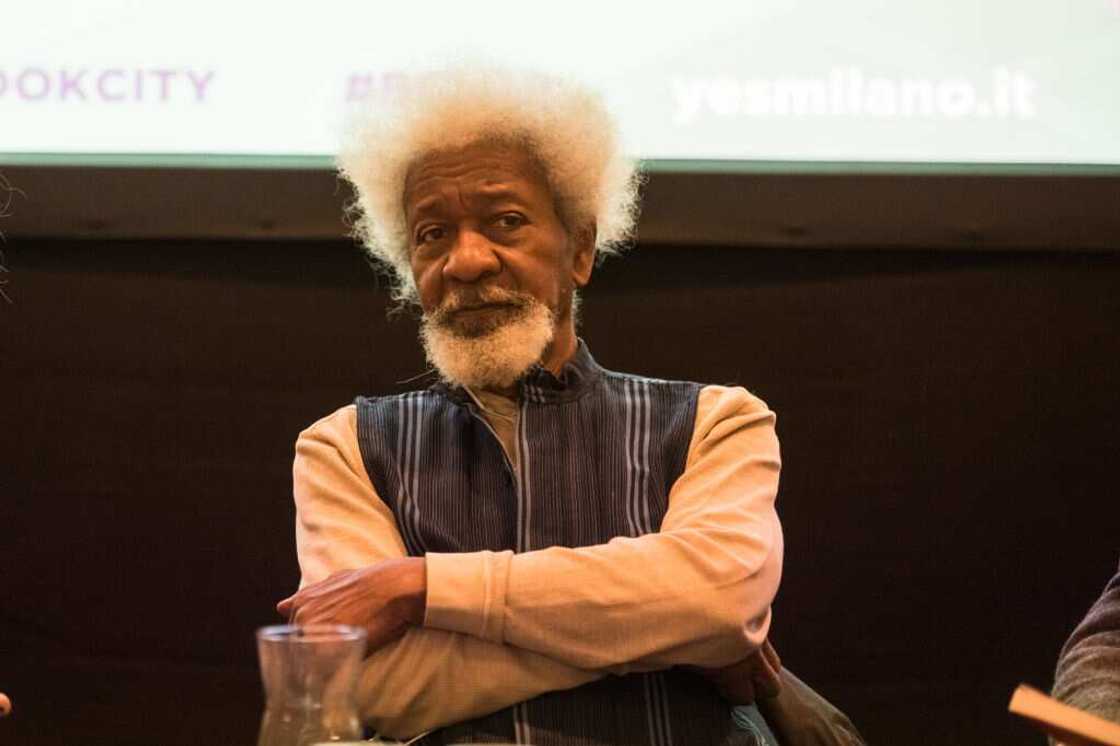 Insecurity: Soyinka, Nigerians Insecurity: Soyinka, Nigerians