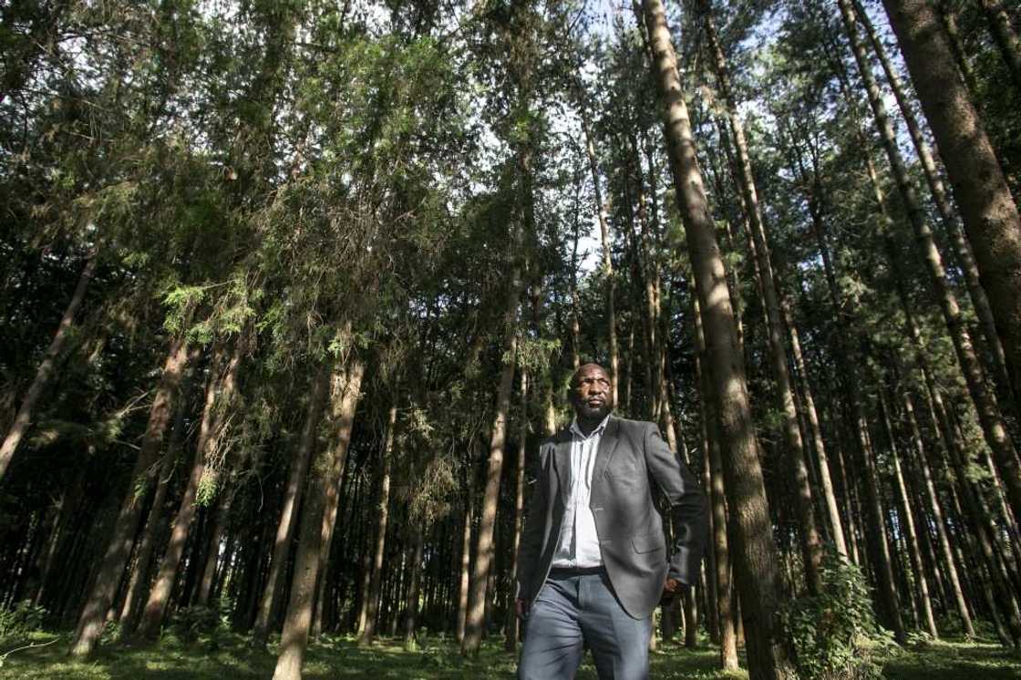 In Molo, a highland town northwest of Nairobi, sawmill owner Bernard Gitau said Ruto had 'come to the rescue' In Molo, a highland town northwest of Nairobi, sawmill owner Bernard Gitau said Ruto had 'come to the rescue'