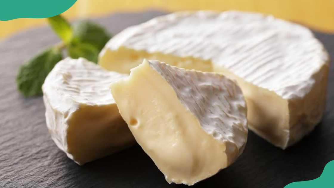 Moose cheese Moose cheese
