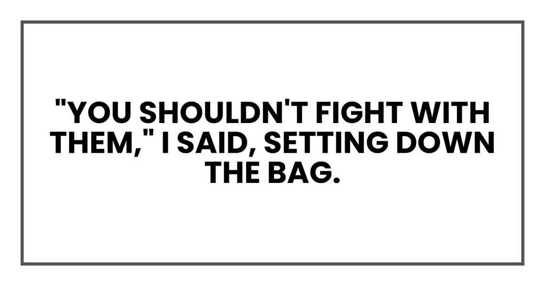 "You shouldn't fight with them," I said, setting down the bag.