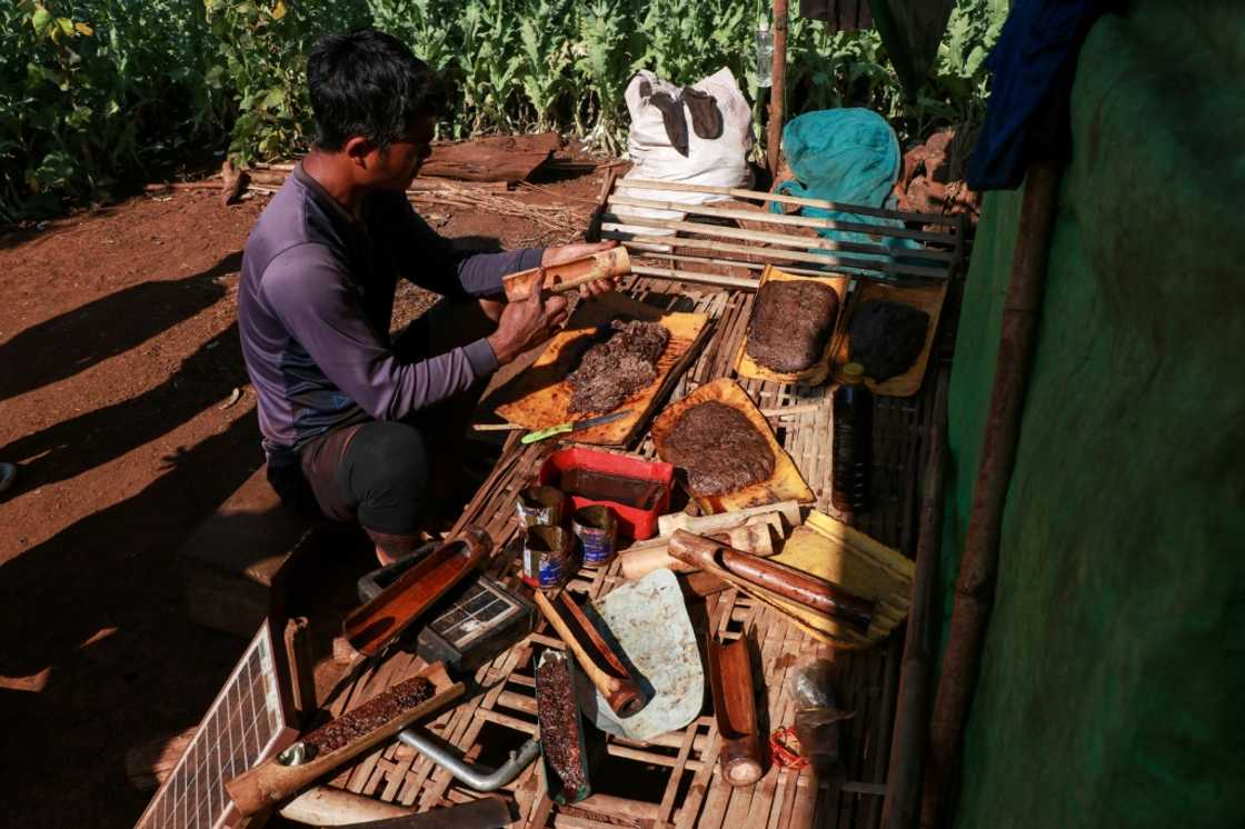 Fresh opium is generally sold by Myanmar farmers for just over $300 per kilo, a small fraction of what it fetches on the international black market Fresh opium is generally sold by Myanmar farmers for just over $300 per kilo, a small fraction of what it fetches on the international black market