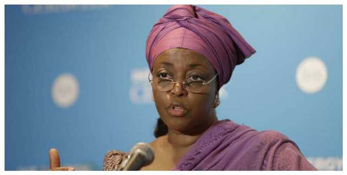 Diezani Alison-Madueke says Yahoo boys have become role models in Nigeria Diezani Alison-Madueke says Yahoo boys have become role models in Nigeria