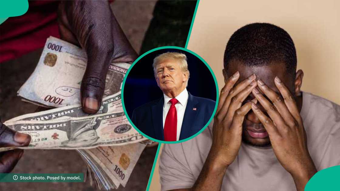 Naira to dollar exchange rate records adjustments as US President Donald Trump begins second term in office. Naira to dollar exchange rate records adjustments as US President Donald Trump begins second term in office.