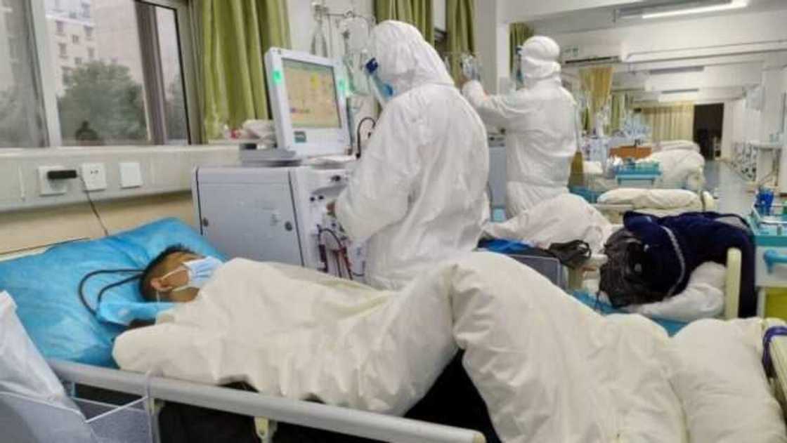 Coronavirus: Ban large gatherings - Senate tells Buhari over spread of disease Coronavirus: Ban large gatherings - Senate tells Buhari over spread of disease
