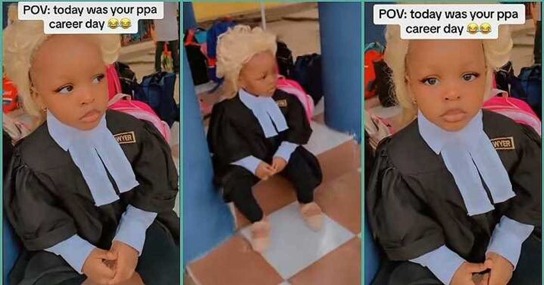 Little lawyer on school's career day goes viral on TikTok as corps member brings case to her