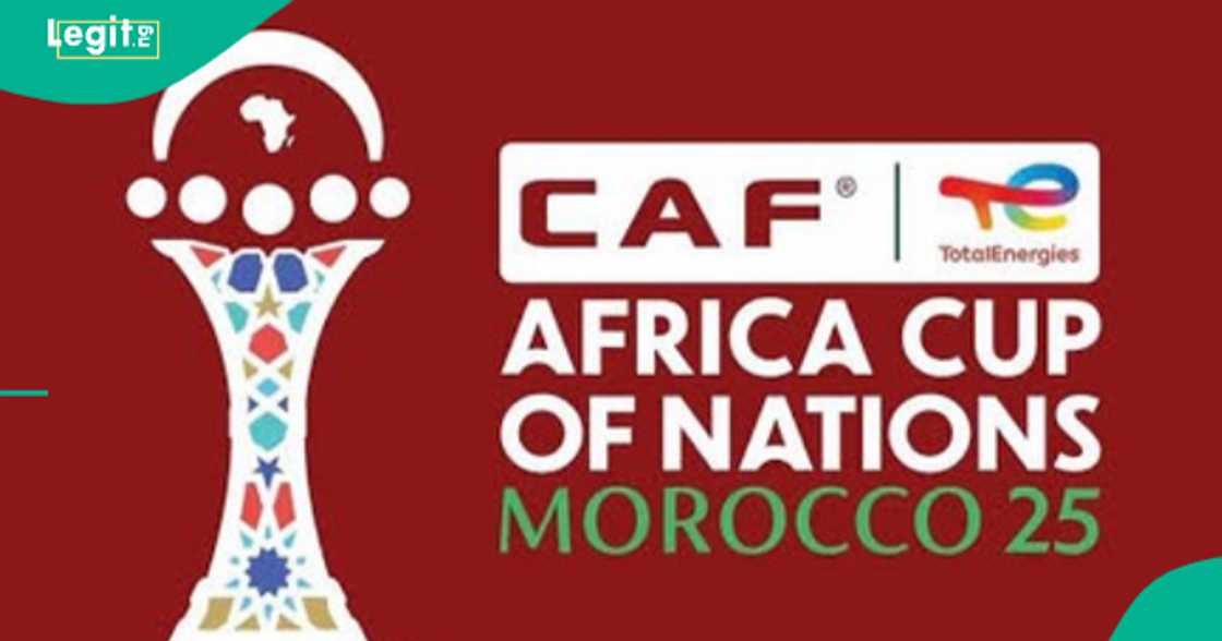 Moroccan cat says Algeria will win Nigeria in AFCON quarterfinals match. Moroccan cat says Algeria will win Nigeria in AFCON quarterfinals match.