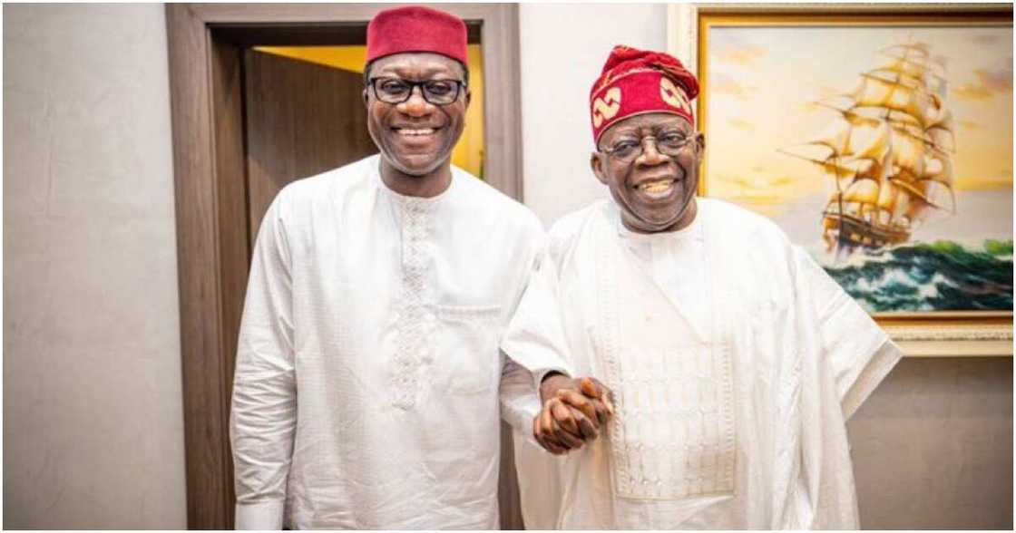 Bola Tinubu, NNPP, APC, 2023 elections, May 29 handover, Abdulmumin Jibrin