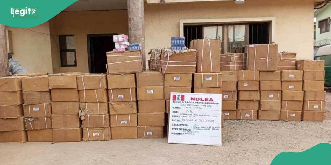 Jami'an NDLEA sun kama jika da kakansa yar shekara 70 a Legas Jami'an NDLEA sun kama jika da kakansa yar shekara 70 a Legas